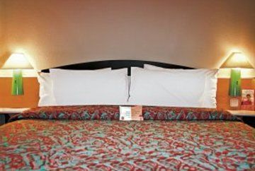 Ibis Hotel *